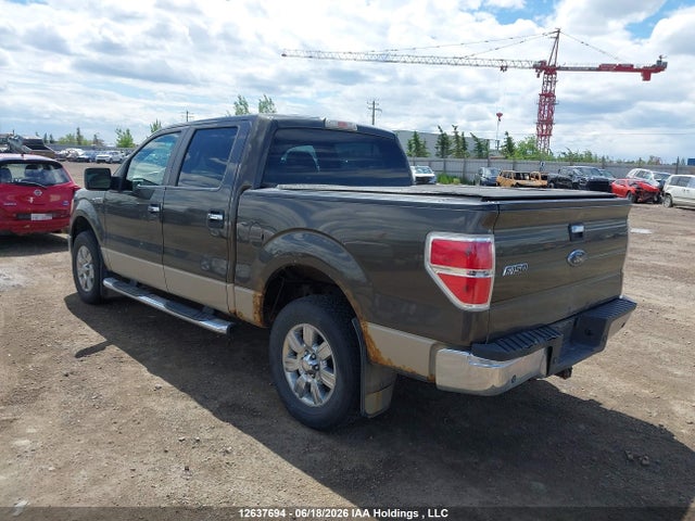 12637694 :رقم المزاد ، 1FTRW14849FA53662 vin ، 2009 Ford F-150 Xlt مزاد بيع