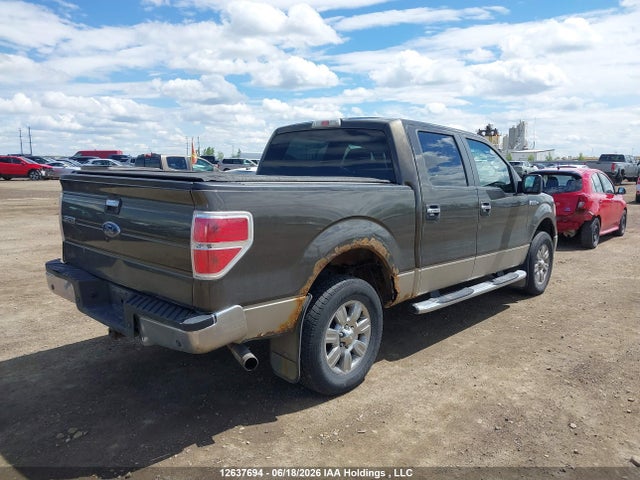 12637694 :رقم المزاد ، 1FTRW14849FA53662 vin ، 2009 Ford F-150 Xlt مزاد بيع