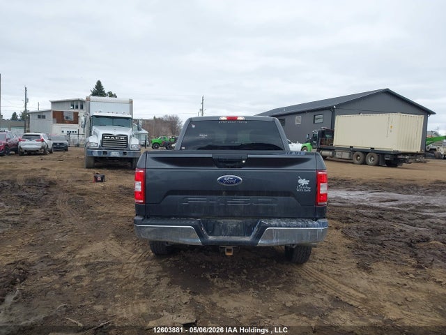 Ford F-150 Xlt 2020 1FTFW1E57LKE20835 Image 16