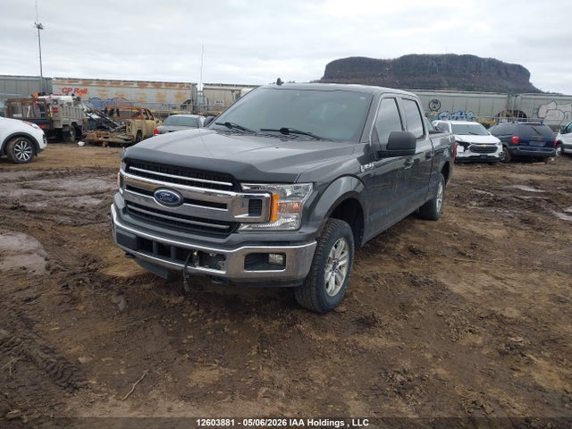Ford F-150 Xlt 2020 1FTFW1E57LKE20835 Image 2