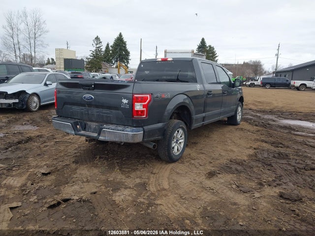 Ford F-150 Xlt 2020 1FTFW1E57LKE20835 Image 4