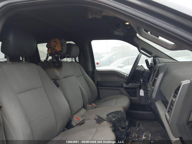Ford F-150 Xlt 2020 1FTFW1E57LKE20835 Image 6