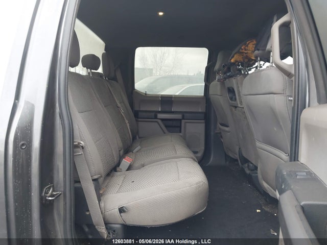 Ford F-150 Xlt 2020 1FTFW1E57LKE20835 Image 8