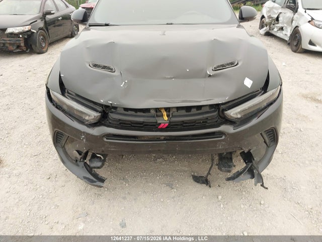 12641237 :رقم المزاد ، ZACNDFAN4R3A31371 vin ، 2024 Dodge Hornet Gt مزاد بيع