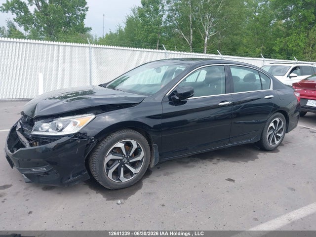 Продаж на аукціоні авто 2016 Honda Accord, vin: 1HGCR3F88GA801430, номер лоту: 12641239