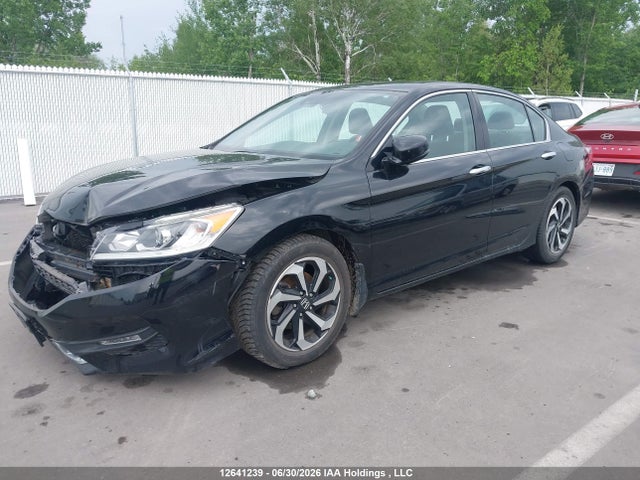 Продаж на аукціоні авто 2016 Honda Accord, vin: 1HGCR3F88GA801430, номер лоту: 12641239