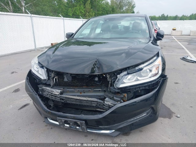 Продаж на аукціоні авто 2016 Honda Accord, vin: 1HGCR3F88GA801430, номер лоту: 12641239