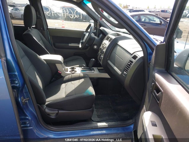 12641345 :رقم المزاد ، 1FMCU93G09KC18600 vin ، 2009 Ford Escape Xlt Automatic مزاد بيع