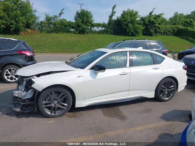 19UUB6F56RA800344 Acura Tlx A-spec