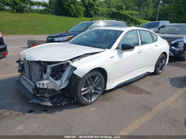 19UUB6F56RA800344 Acura Tlx A-spec
