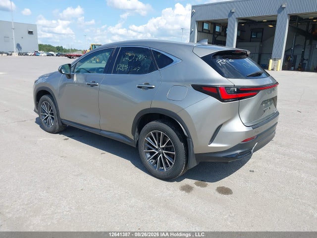 Lexus Nx 350h 350h 2024 2T2AKCEZ5RC024218 Image 3