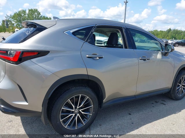 Lexus Nx 350h 350h 2024 2T2AKCEZ5RC024218 Image 6