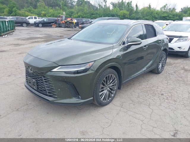 2024 Lexus Rx 350 მანქანა იყიდება აუქციონზე, vin: 2T2BAMCA0RC055693, აუქციონის ნომერი: 12641516