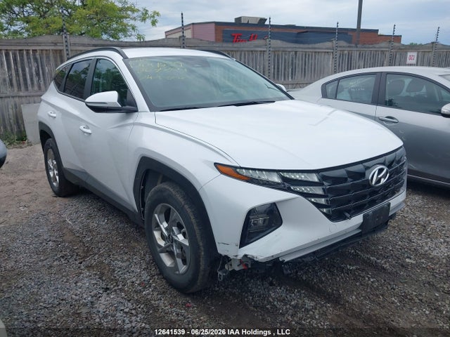 Продаж на аукціоні авто 2024 Hyundai Tucson Sel, vin: KM8JBCDE1RU267204, номер лоту: 12641539