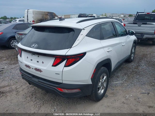 Продаж на аукціоні авто 2024 Hyundai Tucson Sel, vin: KM8JBCDE1RU267204, номер лоту: 12641539