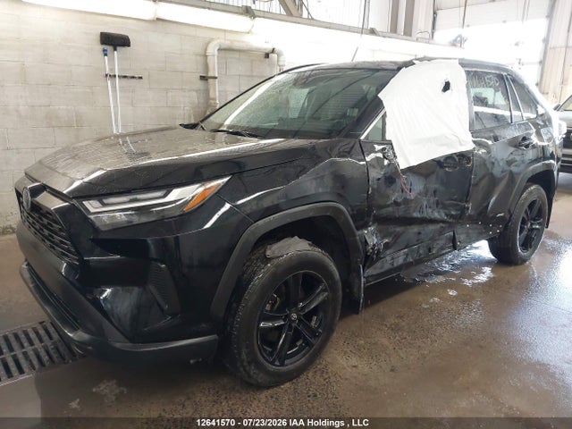 2T3RWRFV1RW218390 Toyota Rav4 Xle/woodland Edition