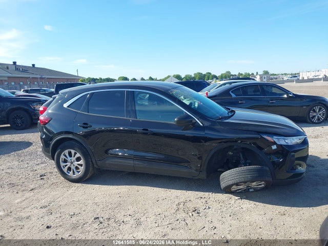 Aukcja sprzedaży 2023 Ford Escape Active, vin: 1FMCU9GN4PUA51863, numer aukcji: 12641585