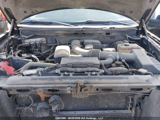 2009 Ford F150 Supercrew მანქანა იყიდება აუქციონზე, vin: 1FTPW14V89FA76925, აუქციონის ნომერი: 12641599