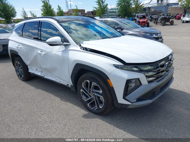 Продаж на аукціоні авто 2025 Hyundai Tucson Sel Convenience, vin: KM8JCDD18SU286127, номер лоту: 12641707