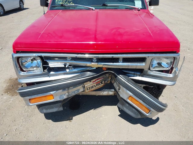 1993 Chevrolet S Truck S10 მანქანა იყიდება აუქციონზე, vin: 1GCCT19Z3P0139707, აუქციონის ნომერი: 12641723