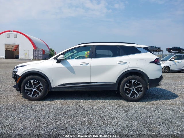 Продаж на аукціоні авто 2024 Kia Sportage Ex/ex Premium W/black Interior/ex Premium W/red Interior, vin: KNDPVCDF6R7297182, номер лоту: 12641757