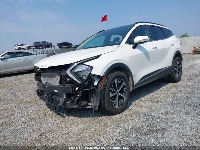 Продаж на аукціоні авто 2024 Kia Sportage Ex/ex Premium W/black Interior/ex Premium W/red Interior, vin: KNDPVCDF6R7297182, номер лоту: 12641757