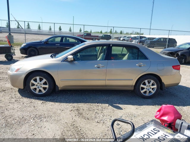 2005 Honda Accord Ex მანქანა იყიდება აუქციონზე, vin: 1HGCM66595A802752, აუქციონის ნომერი: 12641803