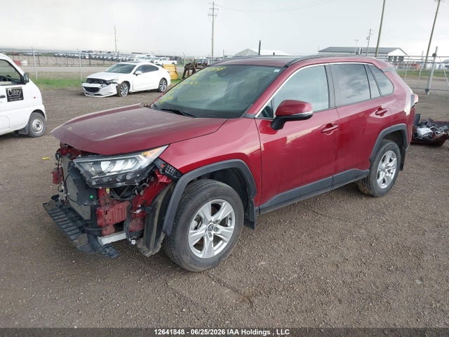 Продаж на аукціоні авто 2019 Toyota Rav4 Xle/xle Premium, vin: 2T3R1RFV4KC029416, номер лоту: 12641848