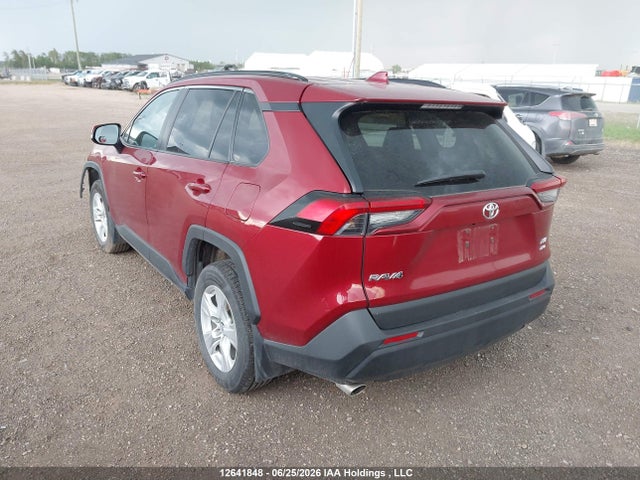 Продаж на аукціоні авто 2019 Toyota Rav4 Xle/xle Premium, vin: 2T3R1RFV4KC029416, номер лоту: 12641848