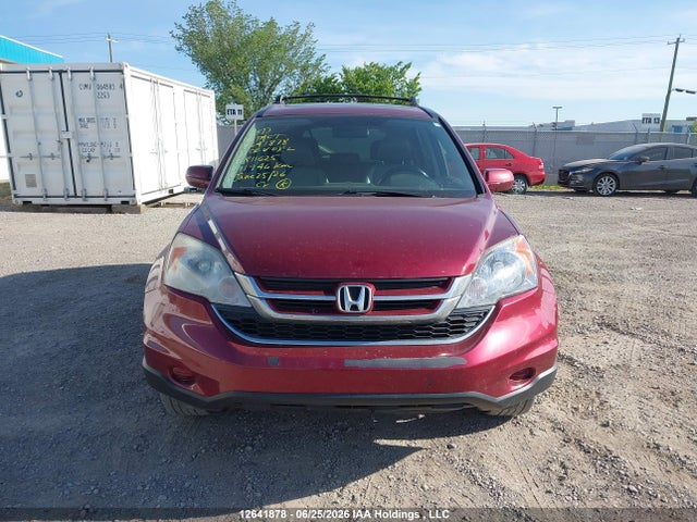 Продаж на аукціоні авто 2010 Honda Cr-v Ex-l, vin: 5J6RE4H71AL811625, номер лоту: 12641878