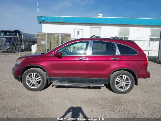 Продаж на аукціоні авто 2010 Honda Cr-v Ex-l, vin: 5J6RE4H71AL811625, номер лоту: 12641878