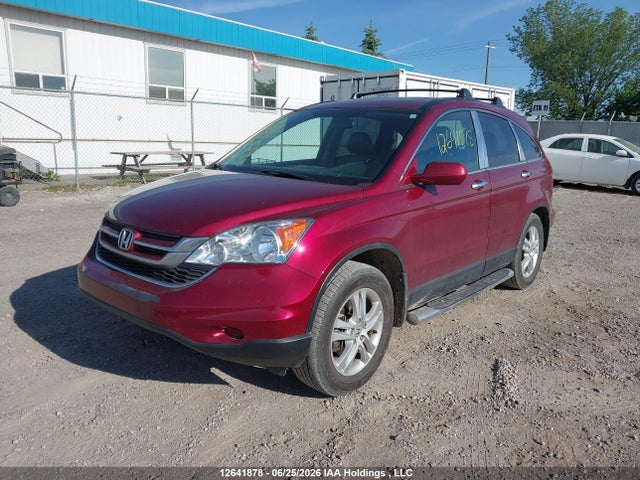 Продаж на аукціоні авто 2010 Honda Cr-v Ex-l, vin: 5J6RE4H71AL811625, номер лоту: 12641878