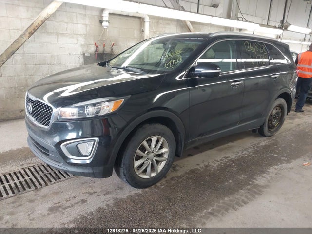 2016 Kia Sorento 2.4l Lx მანქანა იყიდება აუქციონზე, vin: 5XYPG4A30GG177081, აუქციონის ნომერი: 12618275