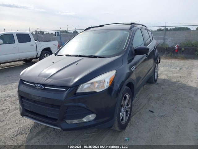 12642025 :رقم المزاد ، 1FMCU0GX6DUB87730 vin ، 2013 Ford Escape Se مزاد بيع
