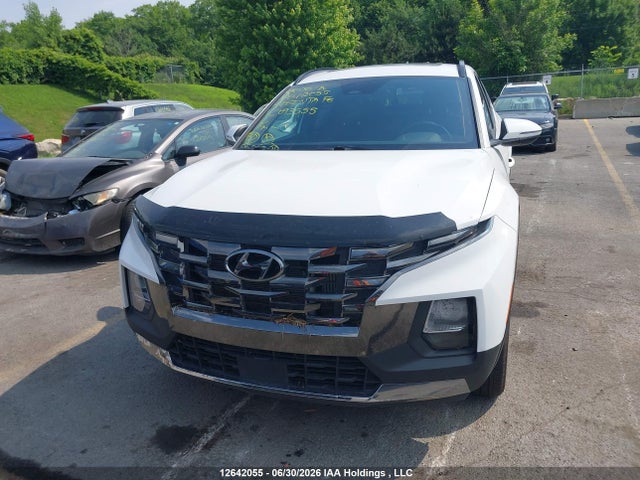 Продаж на аукціоні авто 2024 Hyundai Santa Cruz Trend Awd, vin: 5NTJDDAF7RH093555, номер лоту: 12642055