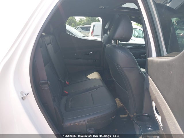 Продаж на аукціоні авто 2024 Hyundai Santa Cruz Trend Awd, vin: 5NTJDDAF7RH093555, номер лоту: 12642055