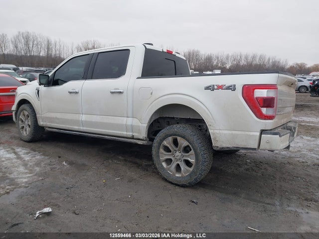 Ford F-150 Platinum 2023 1FTFW1E86PFC33904 Image 3