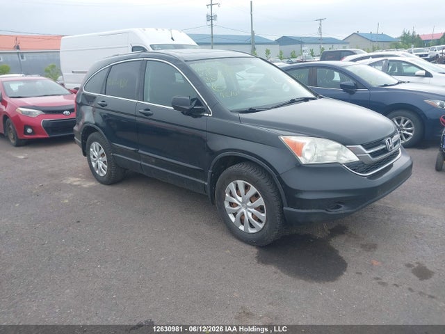 2011 Honda Cr-v Ex მანქანა იყიდება აუქციონზე, vin: 5J6RE4H50BL803399, აუქციონის ნომერი: 12630981