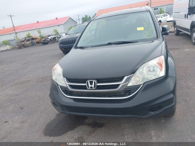 2011 Honda Cr-v Ex მანქანა იყიდება აუქციონზე, vin: 5J6RE4H50BL803399, აუქციონის ნომერი: 12630981