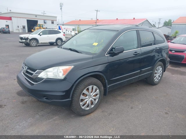 2011 Honda Cr-v Ex მანქანა იყიდება აუქციონზე, vin: 5J6RE4H50BL803399, აუქციონის ნომერი: 12630981