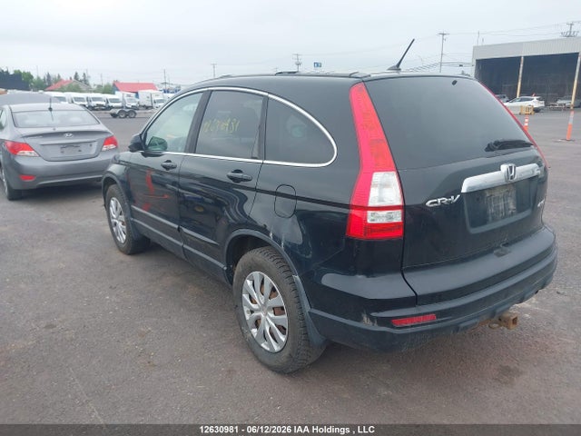 2011 Honda Cr-v Ex მანქანა იყიდება აუქციონზე, vin: 5J6RE4H50BL803399, აუქციონის ნომერი: 12630981