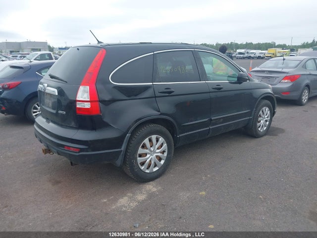 2011 Honda Cr-v Ex მანქანა იყიდება აუქციონზე, vin: 5J6RE4H50BL803399, აუქციონის ნომერი: 12630981