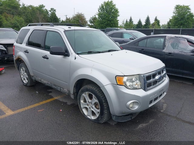 Продаж на аукціоні авто 2009 Ford Escape Xlt, vin: 1FMCU03G99KB17731, номер лоту: 12642281