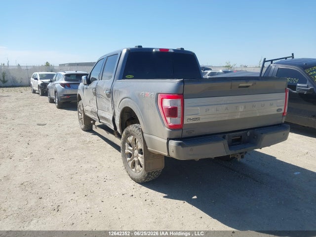 Ford F-150 Platinum 2023 1FTFW1ED9PFB26696 Image 3