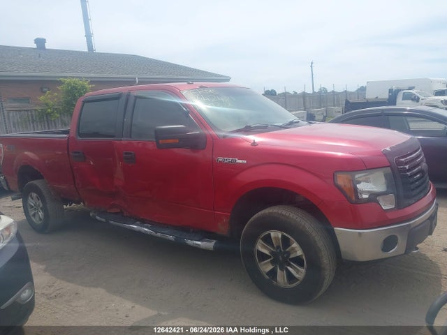 Продажа на аукционе авто 2010 Ford F150 Supercrew, vin: 1FTFW1EV3AFC79302, номер лота: 12642421