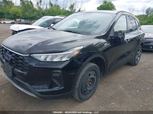 12642461 :رقم المزاد ، 1FMCU9MN3SUA28054 vin ، 2025 Ford Escape St Line مزاد بيع