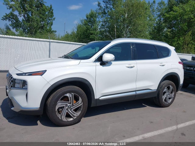 2022 Hyundai Santa Fe Preferred Awd With Trend Package მანქანა იყიდება აუქციონზე, vin: 5NMS3DAJ0NH384254, აუქციონის ნომერი: 12642463