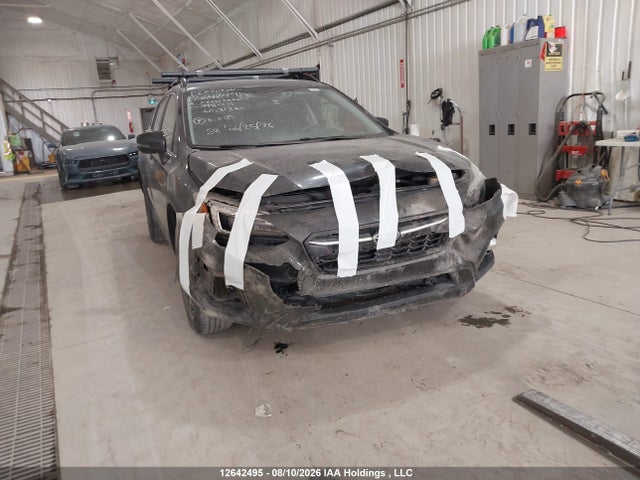 Subaru Crosstrek Limited 2019 JF2GTANC3KH398471 Image 1