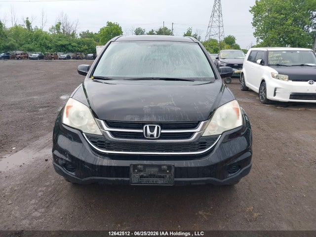 2010 Honda Cr-v Exl მანქანა იყიდება აუქციონზე, vin: 5J6RE4H71AL820132, აუქციონის ნომერი: 12642512