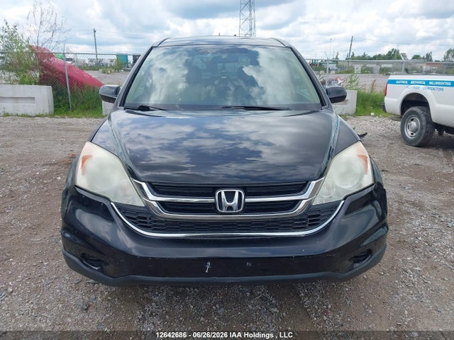 12642686 :رقم المزاد ، 5J6RE3H38AL800516 vin ، 2010 Honda Cr-v Lx مزاد بيع